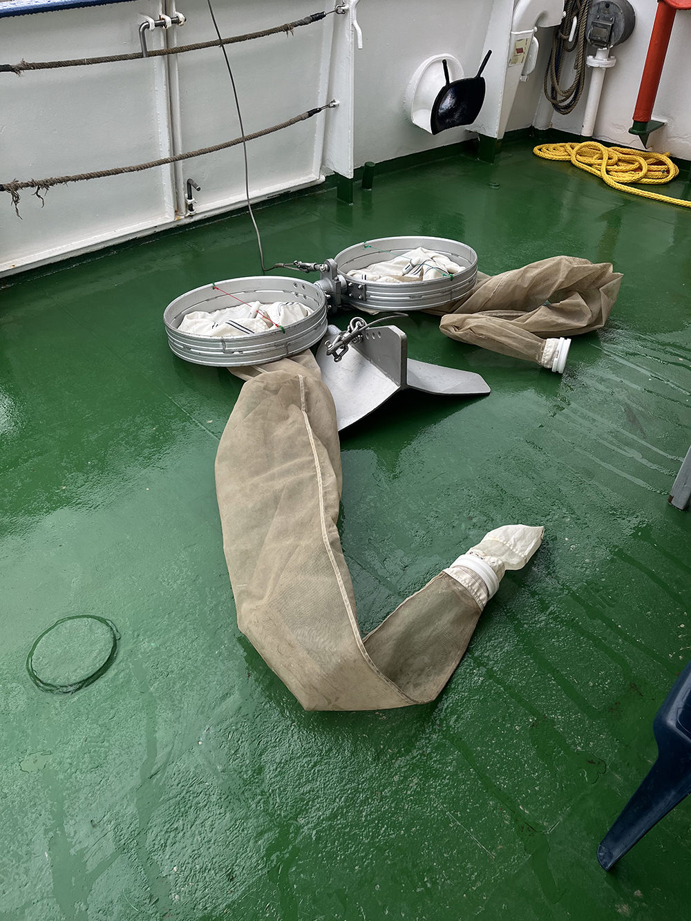 Felix Kiessling Die Stimme – Nukleus