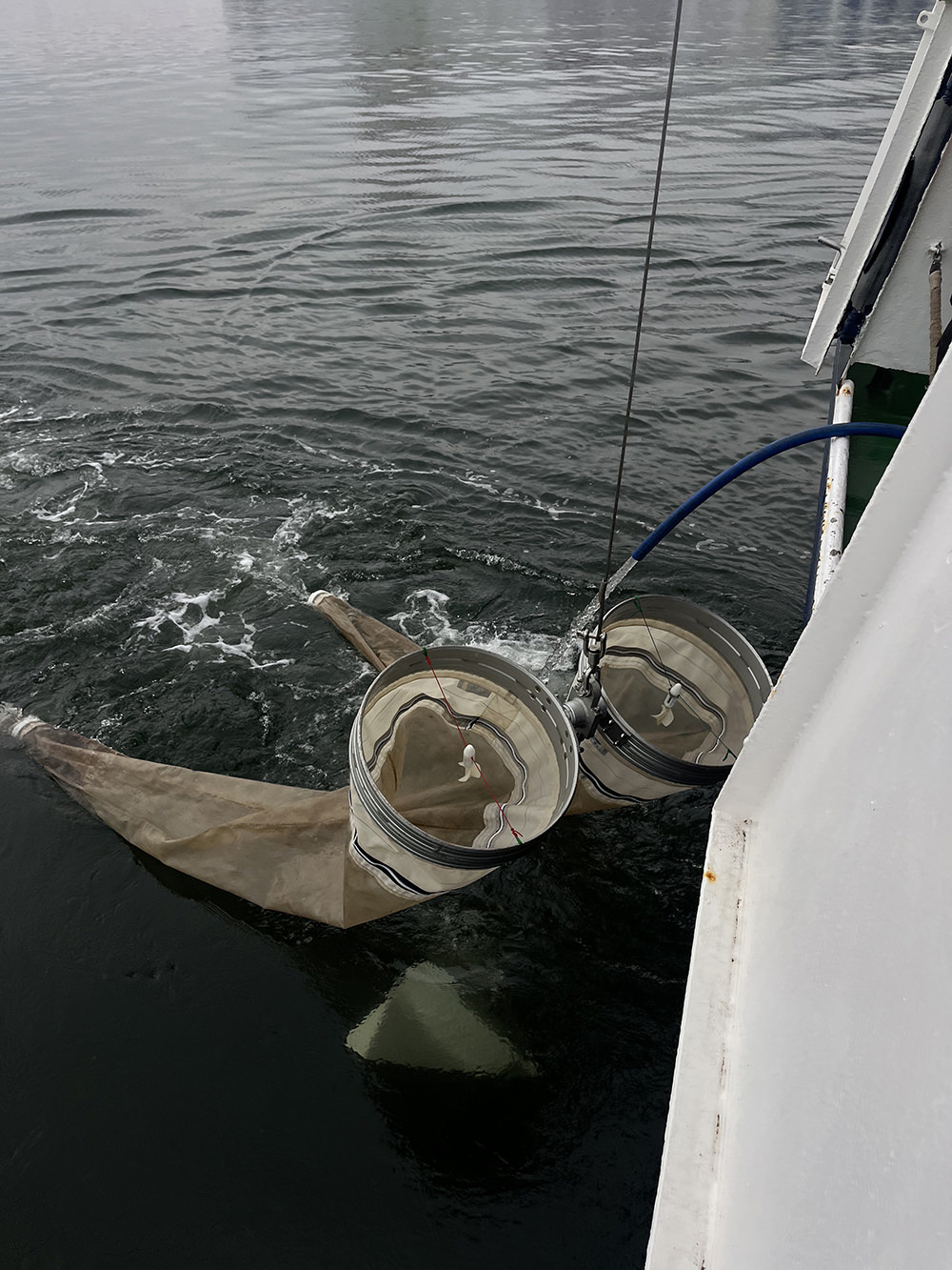 Felix Kiessling Die Stimme – Nukleus